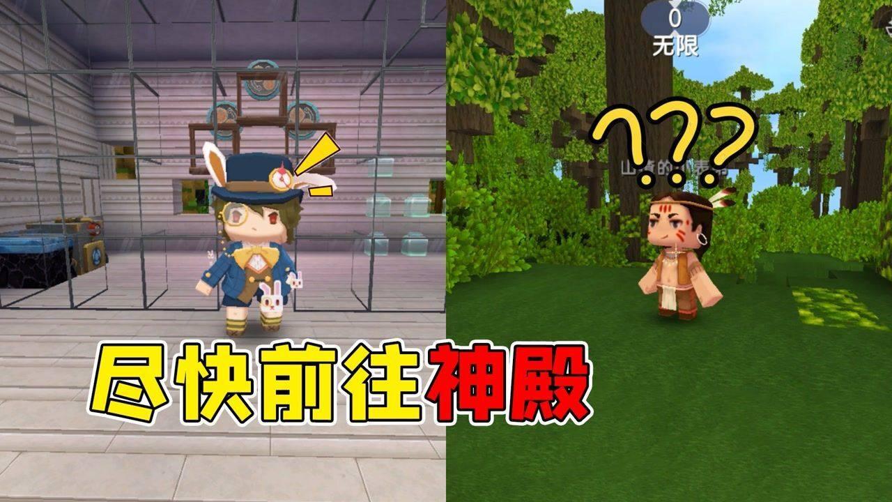 蔬菜忍者
